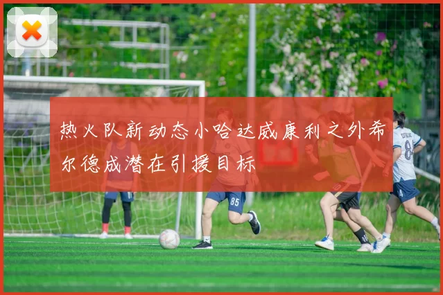 热火队新动态小哈达威康利之外希尔德成潜在引援目标